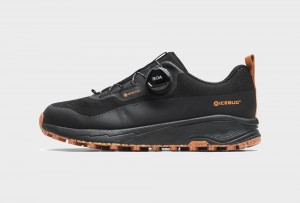 Buty Trekkingowe Icebug Haze RB9X GTX Studs Męskie Czarne | PL-UWQMDC403